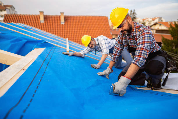 Best Roof Coating and Sealing  in Mcgaheysville, VA