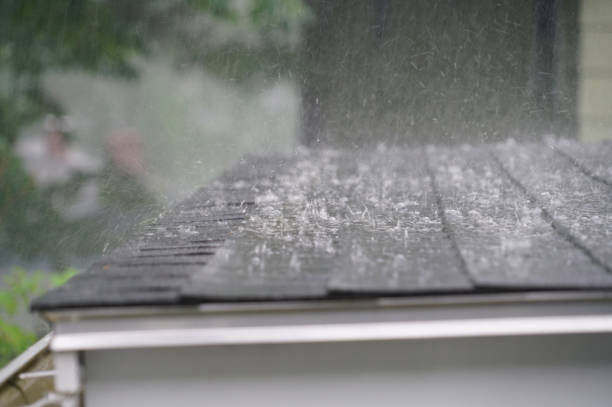 Best Storm Damage Roof Repair  in Mcgaheysville, VA