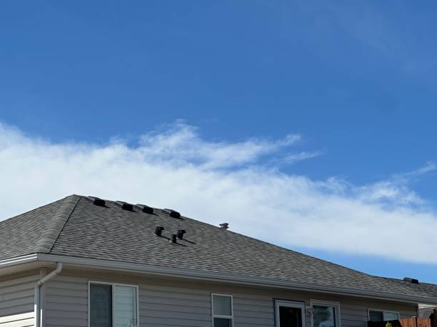 Best Roof Leak Repair  in Mcgaheysville, VA